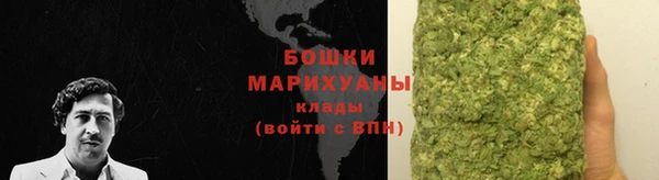 гашик Белокуриха