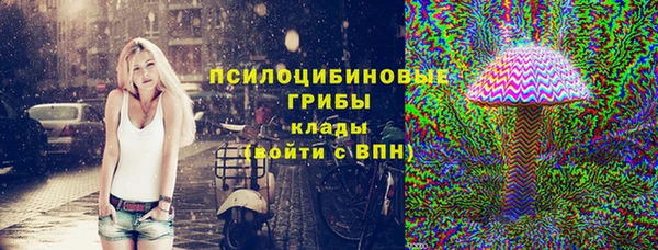 гашик Белокуриха