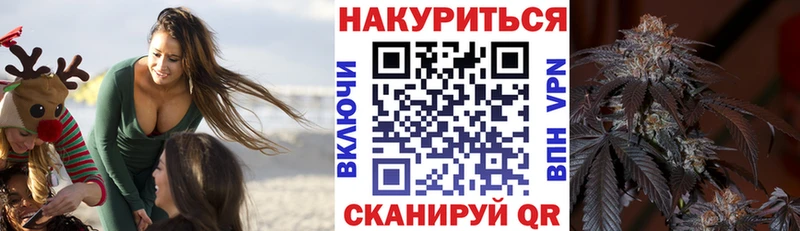 Конопля SATIVA & INDICA  где купить наркоту  Кашин 